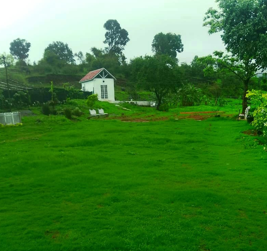 firdip image