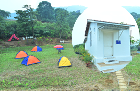 firdip image